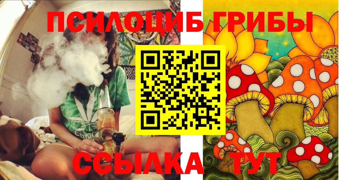 Галлюциногенные грибы мухоморы Елабуга