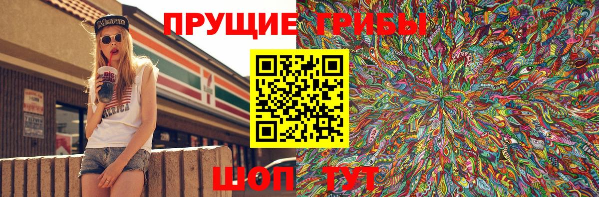 Елабуга  наркота  Вход с VPN  Псилоцибиновые грибы мицелий 